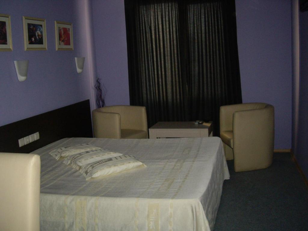 Family Hotel Avramov ヴィディン 部屋 写真